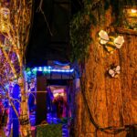 Stallumez-vous-samedi-laetare-2025-076-lr